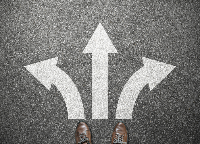 choosing the path to success